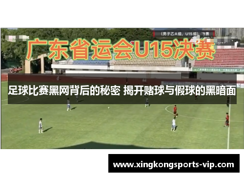 足球比赛黑网背后的秘密 揭开赌球与假球的黑暗面