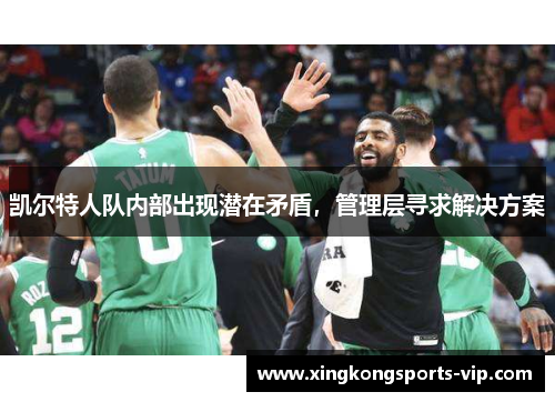 凯尔特人队内部出现潜在矛盾，管理层寻求解决方案